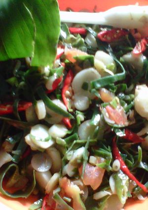 Foto resep Tumis Daun Kencur