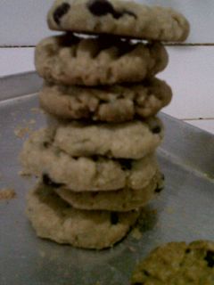 Foto resep Oatmeal Chocochip Cookies ( Diet Cookies )