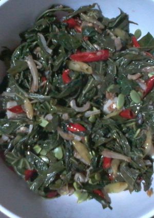 Foto resep Daun Tela Saos Tiram