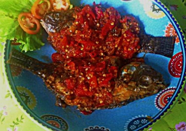 Cara Gampang Menyiapkan pecak nila yang Enak Banget