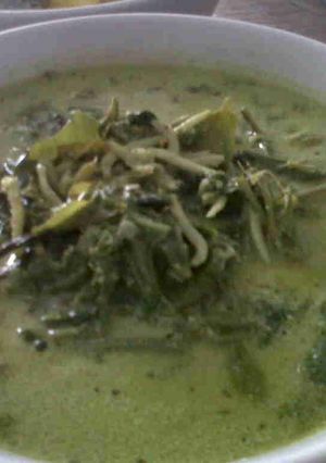 Foto resep GULAI PAKIS TERI MEDAN