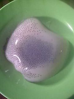 Foto resep Agar-agar susu selasih