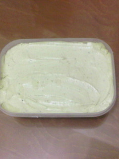 Foto resep Homemade Avocado Ice Cream