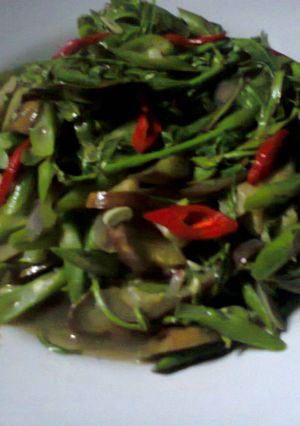 Foto resep Tumis Pakis Terong Kacang Panjang