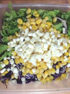 Foto resep #Sarapancepat Rainbow Veggie Salad