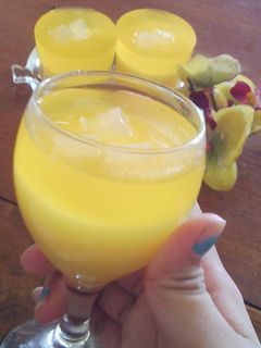 Foto resep Puding Susu Jeruk dan Jelly Mangga