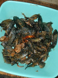 Foto resep Baby fish Goreng Pedas