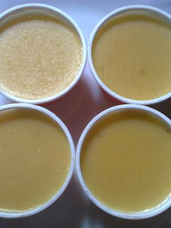 Foto resep Puding Nangka