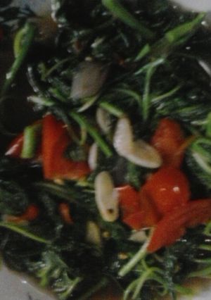 Foto resep tumis bayam sederhana