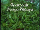 Orak-arik Bunga Pepaya 