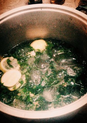 Foto resep Mojito Lemon Mint Squash