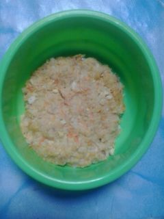 Foto resep dadar tim nasi wortel tahu lele bayi 11+ #mpasisehat
