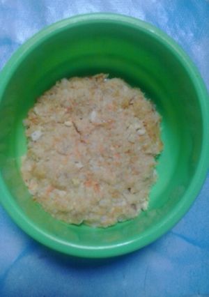 Foto resep dadar tim nasi wortel tahu lele bayi 11+ #mpasisehat