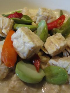 Foto resep SAYUR LODEH TEMPE