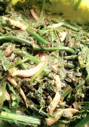 Foto resep Tumis sayur Pakis pedas dower