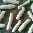 Pempek Tomcat Tanpa Ikan & Telur