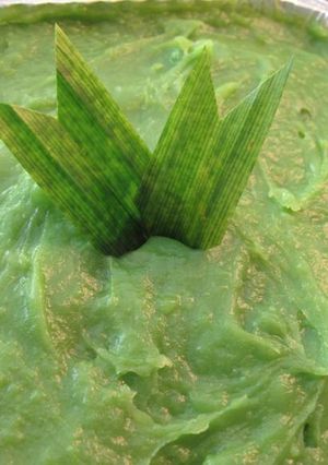 Foto resep KETAN SRIKAYA IJO