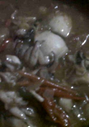Foto resep SOTONG PEDAS ASAM MANIS