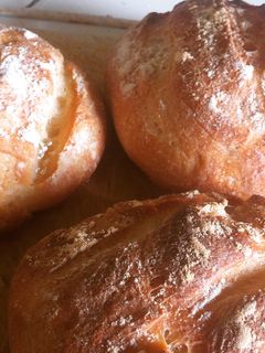 Foto resep Brod / Bread