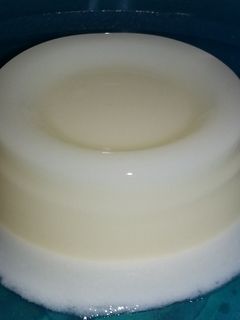 Foto resep Pudding susu lembut lapis busa