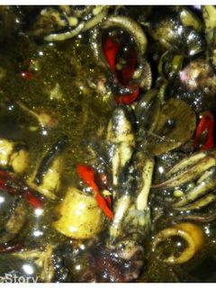Foto resep tumis cumi tinta hitam sangat simple