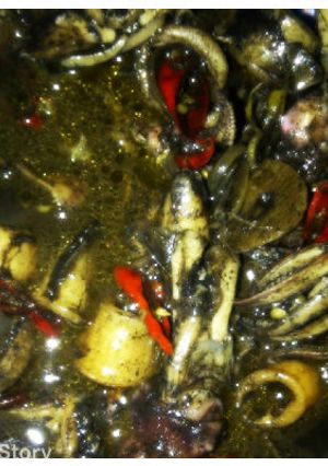 Foto resep tumis cumi tinta hitam sangat simple