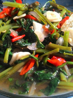 Foto resep Cah Kangkung Saus Tiram