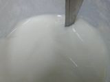 yoghurt tanpa yoghurt maker (hemat)