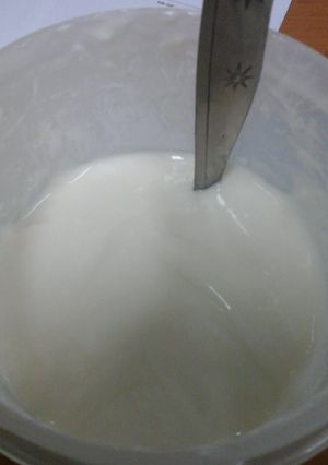 Foto resep yoghurt tanpa yoghurt maker (hemat)