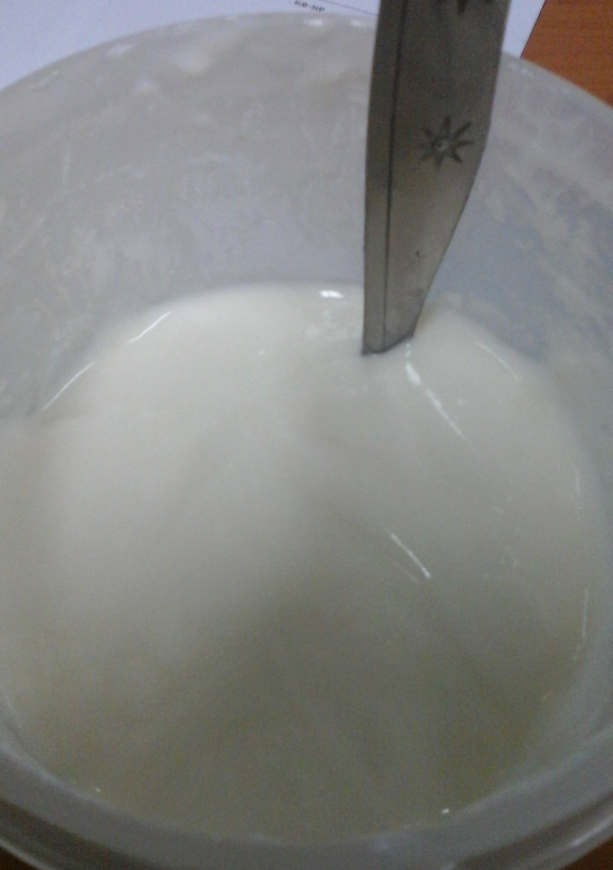 Foto resep yoghurt tanpa yoghurt maker (hemat)