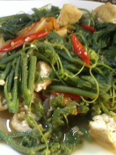 Foto resep Tumis Pucuk Labu Saos Tiram 