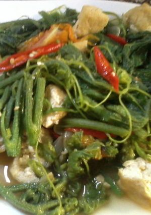 Foto resep Tumis Pucuk Labu Saos Tiram
