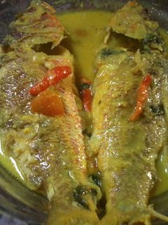 Foto resep Gulai Ikan Kakap 