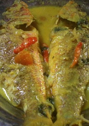 Foto resep Gulai Ikan Kakap 