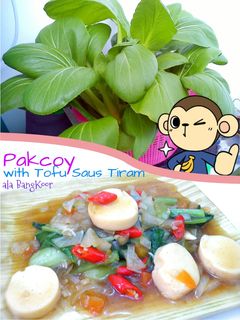 Foto resep Pakcoy with Tofu Saus Tiram, ala BangKoor