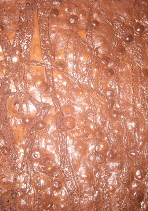 Foto resep 44. Triple Choco Brownies Sungai Chocolatoz
