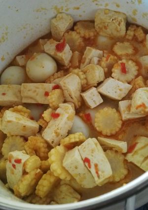Foto resep Tahu Santan Putren Puyuh