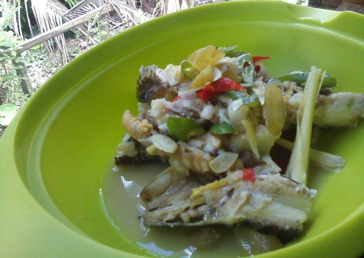 Haruan Batu'up (Ikan Gabus Tim)