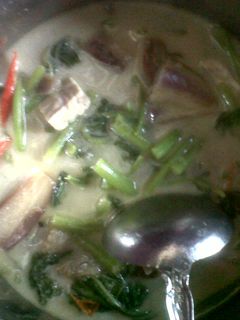 Foto resep lodeh bayam suka-suka