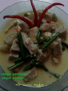 Foto resep tempe gembos sayur santan