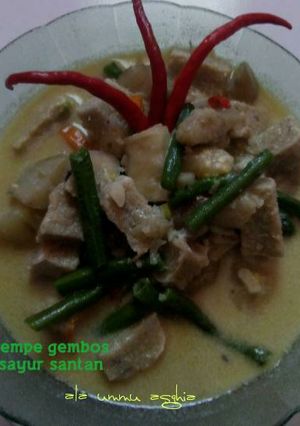 Foto resep tempe gembos sayur santan
