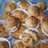 KUE SOES