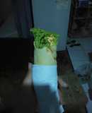kebab nuget
