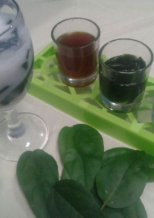 Foto resep Cincau Hijau homemade