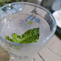 A picture of Limo pani.