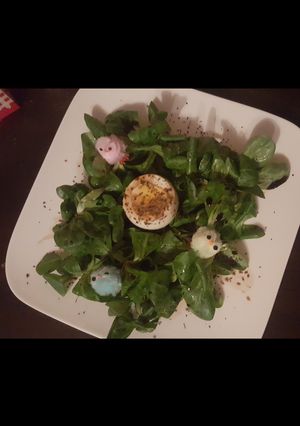 Une photo de L'oeuf sur un nid de Mâche