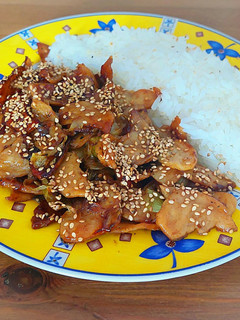Una foto de Sojalitas Teriyaki. Versión vegana del Pollo Teriyaki