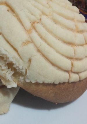 Una foto de Conchas