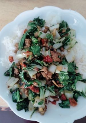 Foto resep Sapi pokcoy gurih