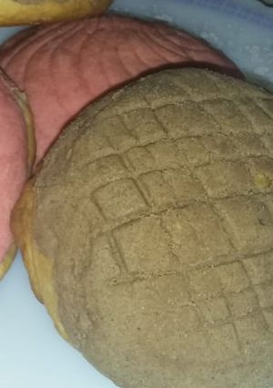 Una foto de Conchas